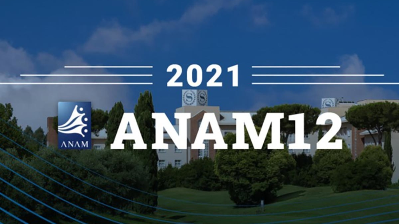 anami12-globaltrading