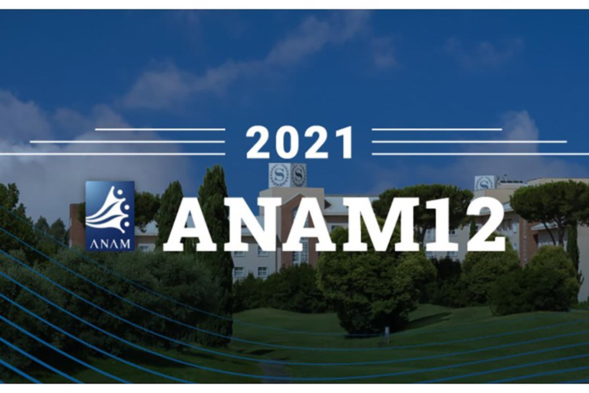 anami12-globaltrading